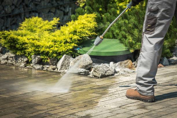 Best Dumpster Area Cleaning  in Morrisonvle, IL