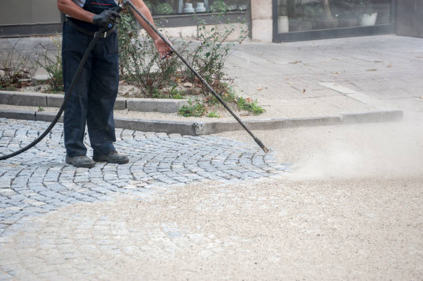 Best Winterizing Services  in Morrisonvle, IL