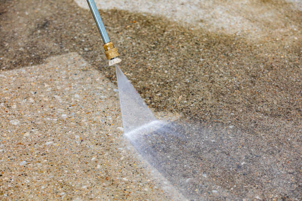 Best Gutter Cleaning  in Morrisonvle, IL