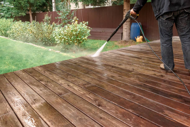 Best Driveway Pressure Washing  in Morrisonvle, IL