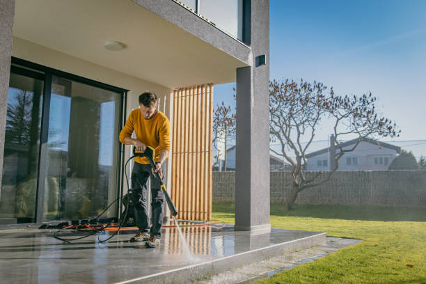 Best House Exterior Washing  in Morrisonvle, IL