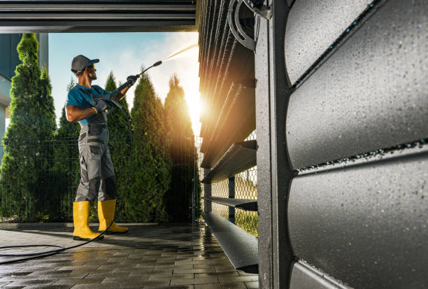 Best Graffiti Removal  in Morrisonvle, IL
