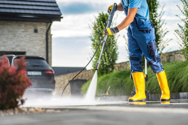 Best Building Exterior Washing  in Morrisonvle, IL